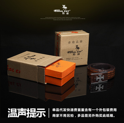 紙箱裝車用皮帶機 皮帶包裝盒